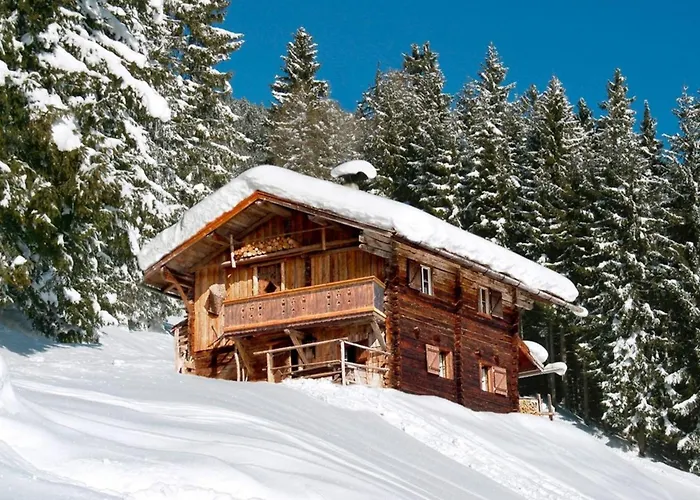 Kohler Huette Semesterbostad Fuegenberg